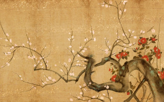 Tree flowers bird perched red - red flower free wallpaper