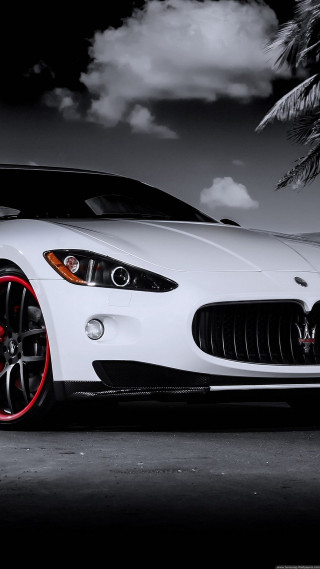 White maserai parking lot palm - a palm tree free wallpaper