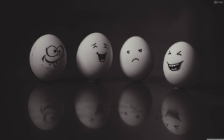 Eggs with faces row table - a group of eggs free wallpaper