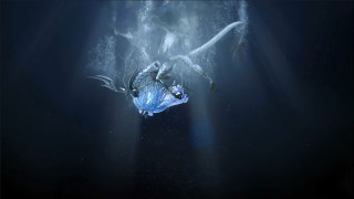 Large bird flying water light - dragon art free wallpaper