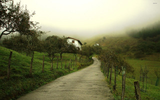 Lush green road house fog - tonalism free wallpaper