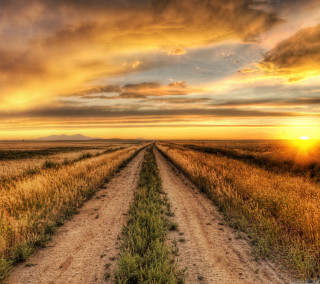 Dirt road sunset grass field - beautiful landscape free wallpaper