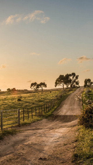 Dirt road fence field sunset 6 - sunset free wallpaper