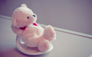 Pink stuffed animal table window - studio photography free wallpaper