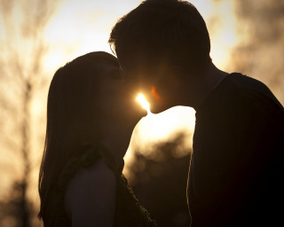 Couple kissing sunset tree silhouette - a couple kissing in front free wallpaper