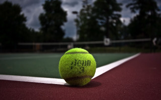 Tennis ball court net trees - a tennis ball free wallpaper