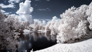 Lake trees snow clouds bridge 2 - covered ground free wallpaper