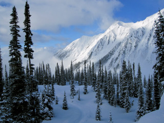 Snow covered mountain trees trail - winter free wallpaper for desktop