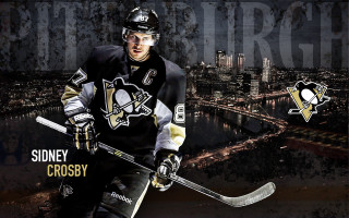 Hockey player stick helmet action - a city in the background and a bridge in the foreground free wallpaper