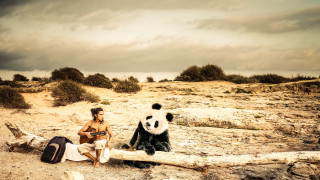 Man sitting log panda beach - a beach free wallpaper for desktop