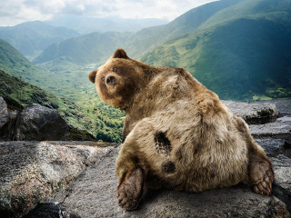 Brown bear rock mountains valley - a view of the valley below free wallpaper