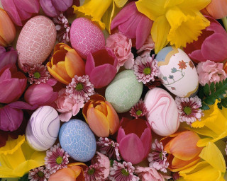 Colorful eggs flower pile tabletop - anne geddes free wallpaper
