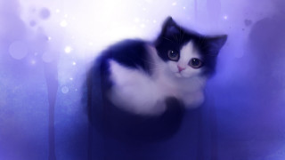 Black white cat chair blue - soft painting free wallpaper