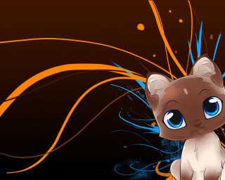 Cat blue eyes table black - carlos catasse free wallpaper for desktop