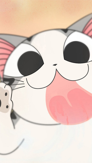 Cat pink nose white nose - a black nose free wallpaper