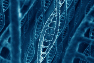 Blue plant cell structure closeup - biopunk free wallpaper