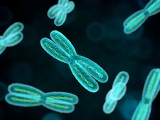 Cell within cell within cell - neoplasticism free wallpaper