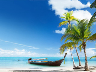 Boat beach palm trees blue 6 - chris labrooy free wallpaper