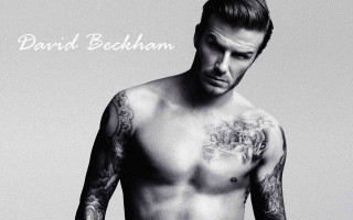 Man tattoo shirtless posing hands - fine art free wallpaper