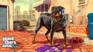 Dog brick sidewalk trash can - in gta v free wallpaper
