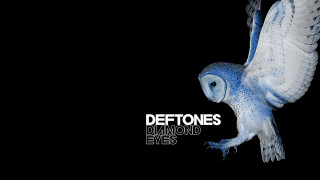Blue owl flying wings spread - diamond free wallpaper