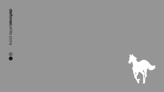White horse running gray background - a black dot free wallpaper