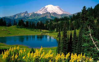 Mountain lake forest yellow flowers 2 - beautiful landscape free wallpaper