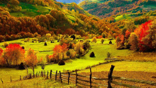 Mountain valley autumn fence trees - a fence and trees free wallpaper