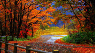 Road fall foliage fence impressionist 2 - fall foliage free wallpaper