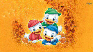 Cartoon ducks yellow background leaves - a yellow background free wallpaper for desktop