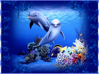 Dolphin swimming ocean corals fish - underwater free wallpaper