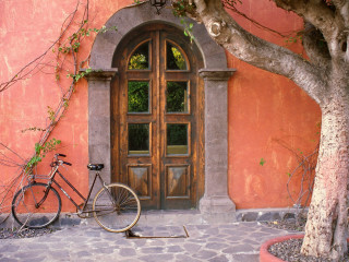 Bicycle parked door tree planter - a bicycle free wallpaper
