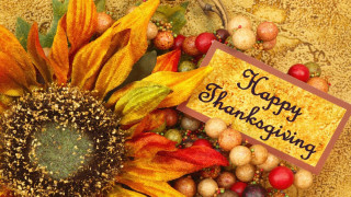 Sunflower thanksgiving card autumn decorations 3 - a sunflower free wallpaper