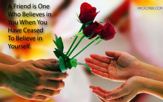 Two hands holding rose with - romantic free wallpaper