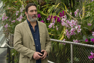 Man standing fence purple flowers - david annand free wallpaper