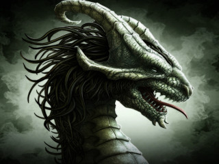 Dragon long hair large mouth - dragon art free wallpaper