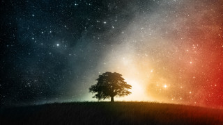 Lone tree hill night sky 3 - a lone tree free wallpaper