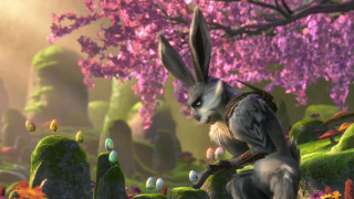 Rabbit bow field flowers rocks - a bow free wallpaper