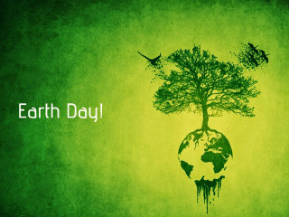 Green earth tree birds flying - bird free wallpaper for desktop