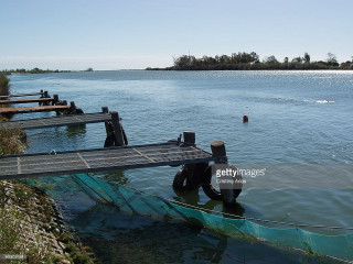 Man wet suit sitting dock - a boat in the background free wallpaper