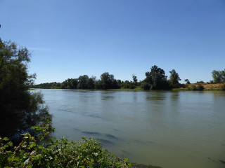 River trees blue sky bushes - river free wallpaper