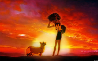 Woman dog sunset sky clouds - adam manyoki free wallpaper