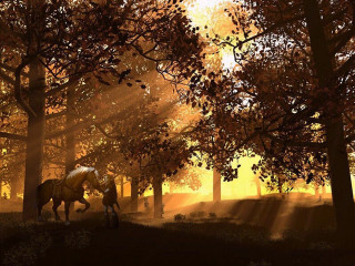 Horse forest sunlight trees nature - matte fantasy painting free wallpaper