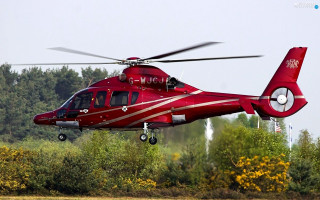 Red helicopter flying over forest - low free wallpaper
