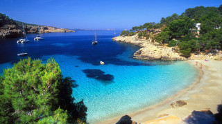 Beach boats trees blue sky - the water and trees free wallpaper