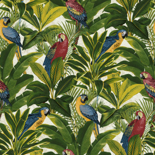 Colorful tropical parrots palm leaves - maximalism free wallpaper