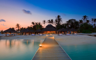 Dock beach restaurant dusk palm - daren bader free wallpaper
