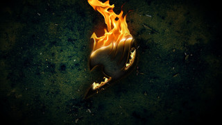 Fire object dark background yellow - a fire free wallpaper