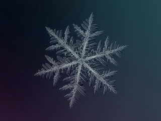 Snowflake dark blue purple background - a snowflake free wallpaper