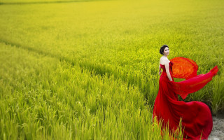 Woman red dress walking field - rich vivid color free wallpaper